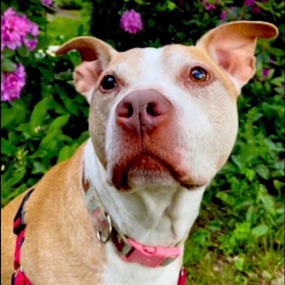 Meet your Posher, Alexandra - Picture 1 of 1